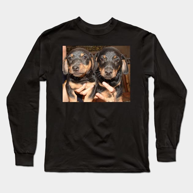 Dachshund puppies group Long Sleeve T-Shirt by Wanderingangel